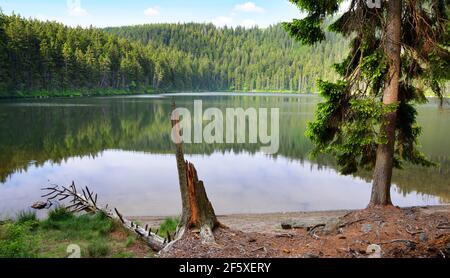 Teufelssee ( Certovo Jezero )`s Nationalpark Sumava, Tschechische Republik. Stockfoto